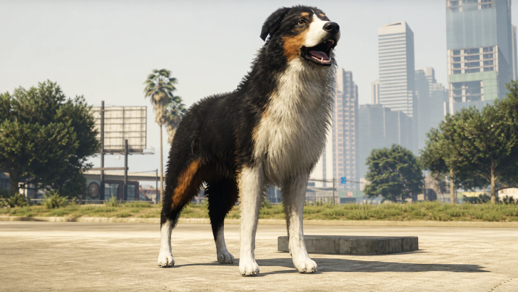 A Border Collie standing in a Los Santos park with the skyline behind it